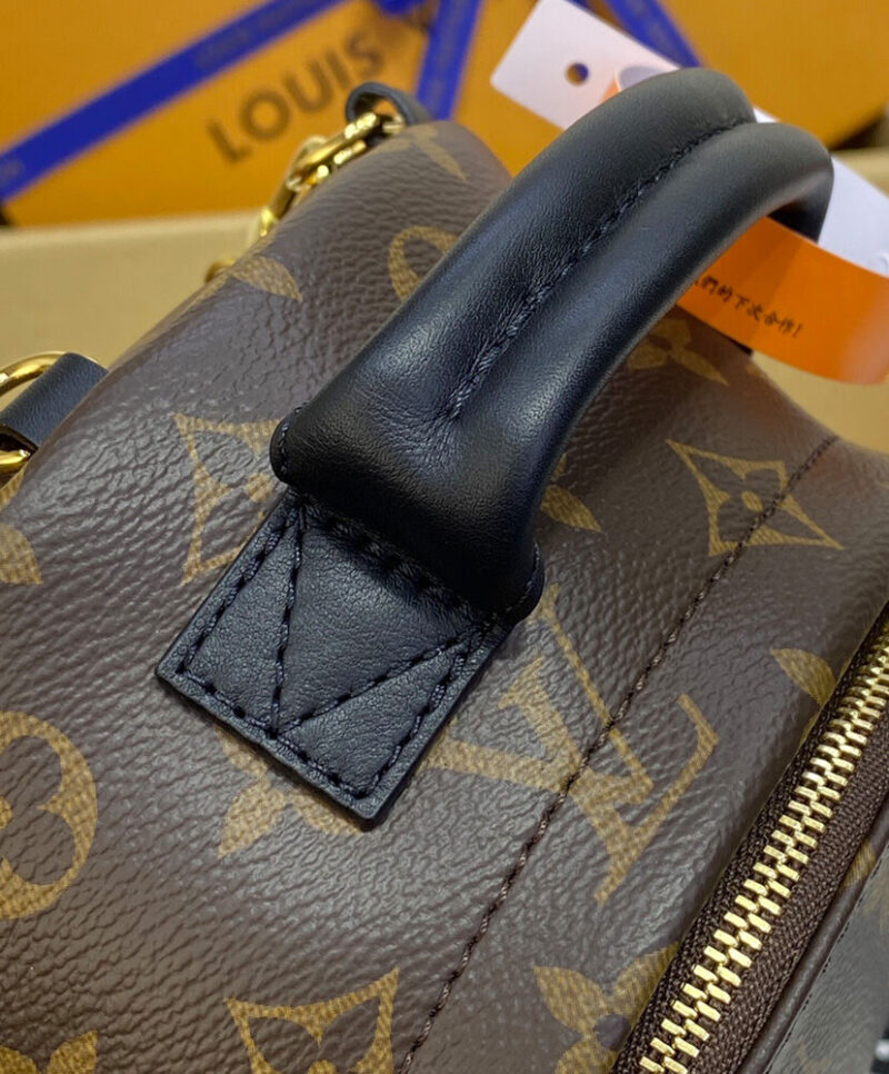 Louis Vuitton Palm Springs Mini M44873 Brown